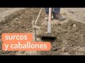  cmo hacer los surcos y caballones en el huerto