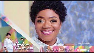 Piesie Esther - Honhom Mu Nwom Ft Mag-Narh