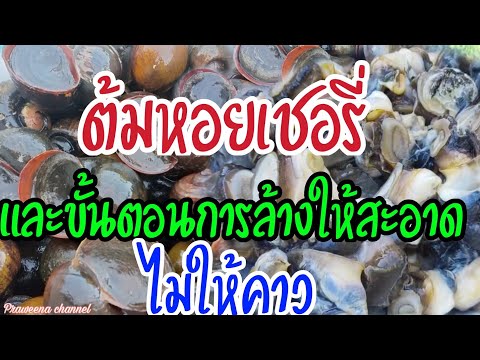 วิธีต้มหอยเชอรี่ และขั้นตอนการล้างใหสะอาดไม่ให้คาว สูตรพ่อน้องหวึ่งEP.139