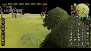 osrs update 52 - sand crab creep spot