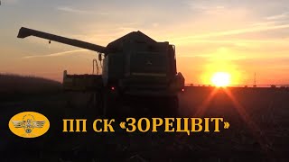 Участки гибридизации. Выращивание от посева до уборки.