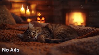 1 Hours of Cat Stress Relief 🐾 | Calming Piano Music for Cats to Sleep, Relax & Feel Safe  screenshot 1