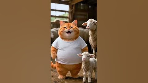 cat and goat#catshorts #cat #catvideos #catfunny #cats #cartoon #animation #funny #funnycatvideos