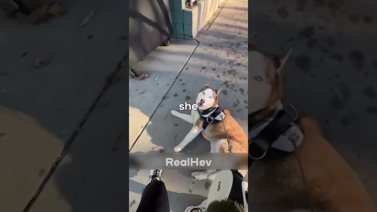 Did She Get Her Treat?