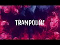 SHAED x ZAYN - Trampoline | WhatsApp Status