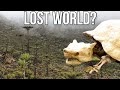 The real lost world new caledonia