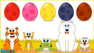 Bingo Song Baby song Surprise Egg With Animal Stamp Transformation play - Nursery Rhymes & Kids Song
