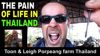The Ups & Downs of Living on a farm in Thailand 🇹🇭