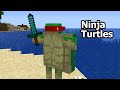 I changed Turtles into Ninja Turtles in Minecraft