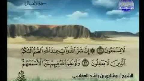سورة الأنفال 8 - 114 مشاري العفاسي - قناة المجد للقرآن الكريم