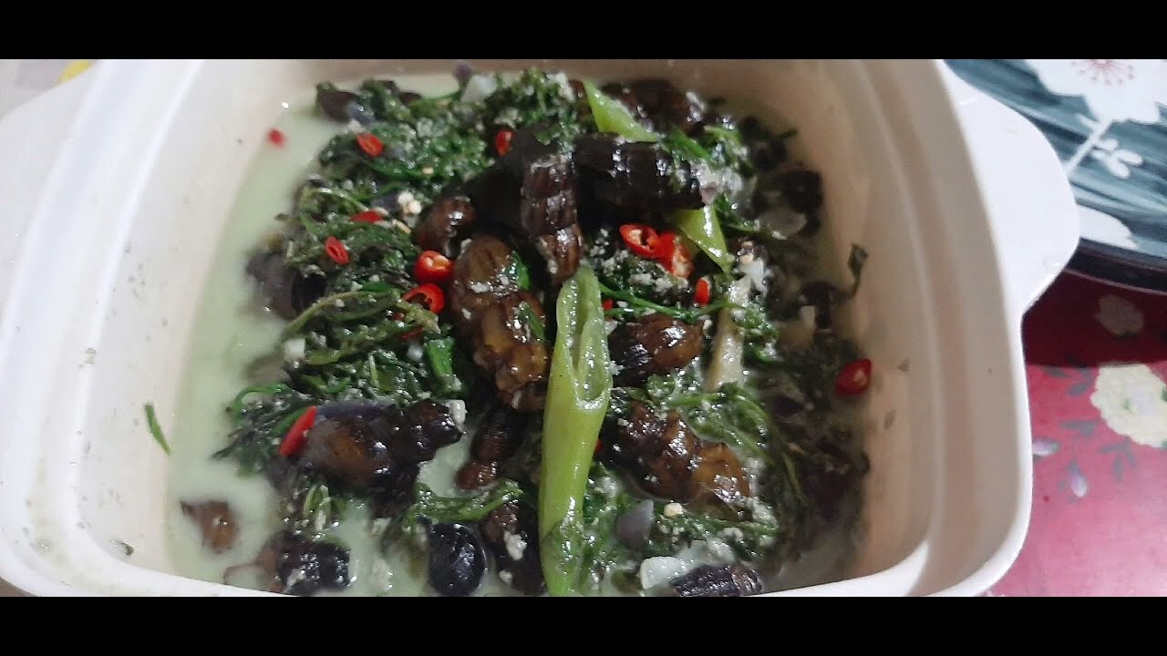 ginataang suso #lutongpinoy#simplerecipe#asmr @marypaztv - YouTube