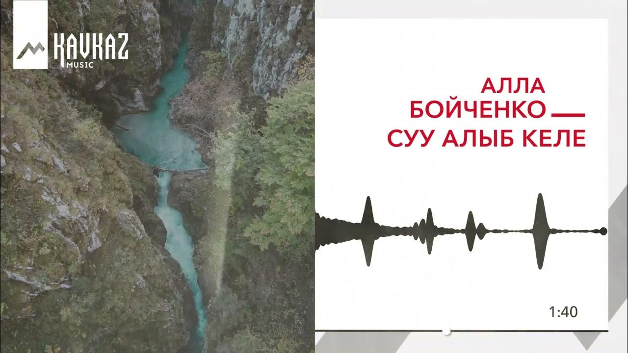 Sening mushukingni yalab koray Sening mushukingni yalab koray