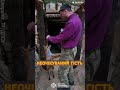 🦊Руда хитрунка пробралась в бліндаж прикордонників #shorts