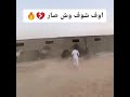 كوارث الخيول 