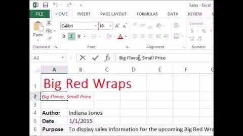 04 How to formatting text in Excel - CIS 101