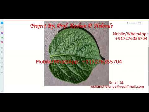Python Code for Potato Leaf Disease Using Neural Network CNN | With Source Code