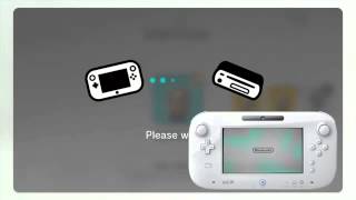 WiiU Gamepad has Region LOCK - WTH  993