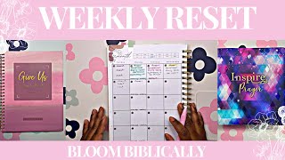 Weekly Reset : Growing Pains ❤️‍🩹