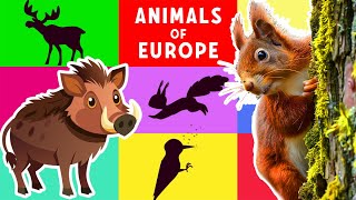 🐗 Guess the Animal by Its Shadow 🐾 Fun Quiz for Kids 🐺 European Animals 🐻 screenshot 2