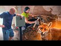 Пока мы на ХУТОРЕ ломали печи, на УСАДЬБЕ собаки отбивали АТАКУ. Знаменательный день, но сил нет.