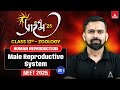 Human reproduction class 12 neet 2025  male reproductive system   series  by vishal sir