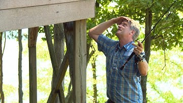 Where Did Pete Nelson Go?