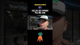 호주 시드니 요리 유힉 | 시드니 유학생이 학교 째는 방법