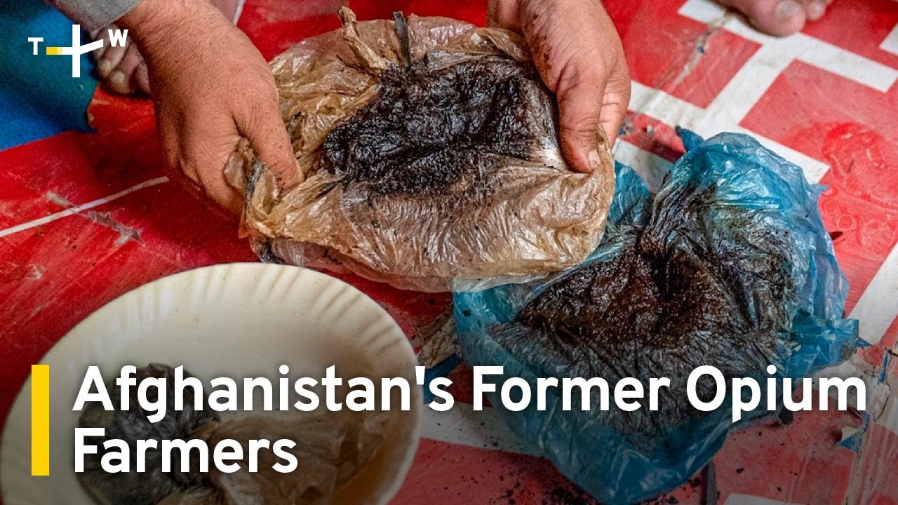 Afghanistan's Poppy Farmers Experience Withdrawal From Opium Money｜TaiwanPlus News