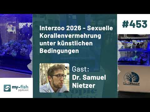 my-fish.org - Interzoo 2026 - Korallenvermehrung unter künstlichen Bedingungen (Dr. S. Nietzer)