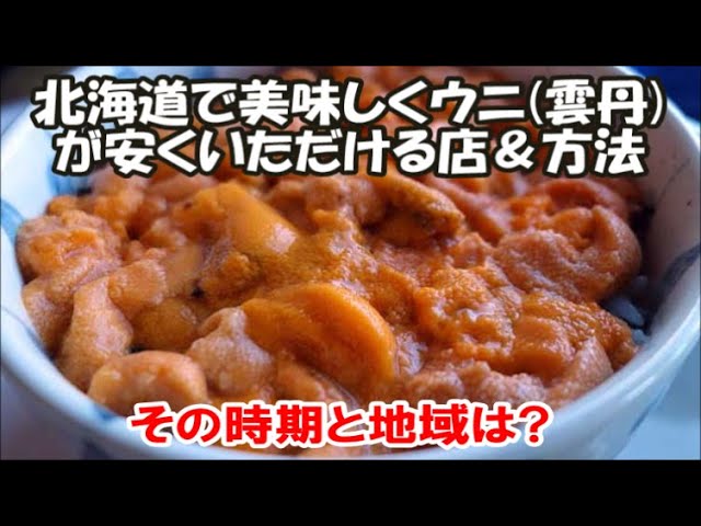 北海道で一番美味しく食べられる地域と時期は ムラサキウニ 北のにしん屋さん バフンウニ ココ カピウ そして積丹半島のご当地スーパー塩水うに Hokkaido Sea Urchin Japan Youtube