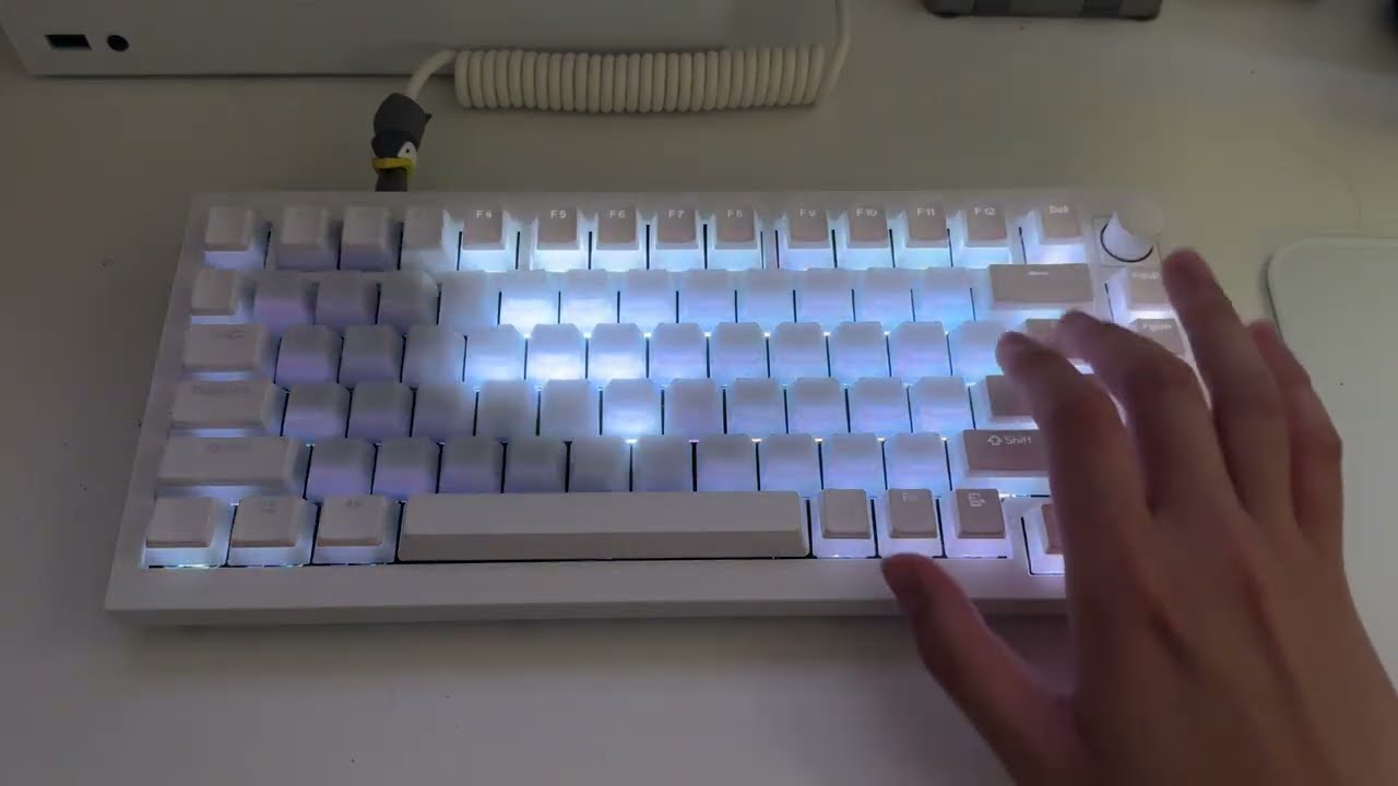 Glorious Raptor HE in Keychron Q1 HE