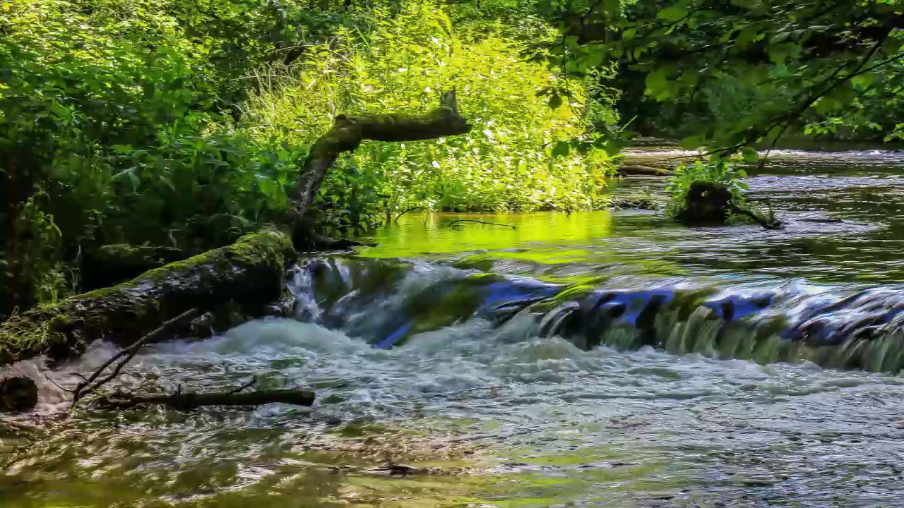 Healing Antistress Water: Relaxing Nature Sounds for Harmony and Wellness, Relax Musics wellness music mp3 free download