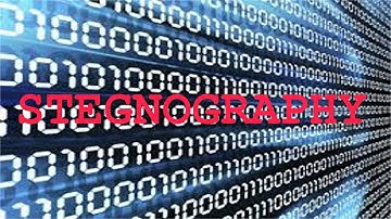 What is Steganography ?? | Everything about Steganography | How to hide text | Cyber Nation