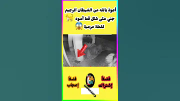 جني على شكل قط أسود أعوذ بالله من الشيطان الرجيم 