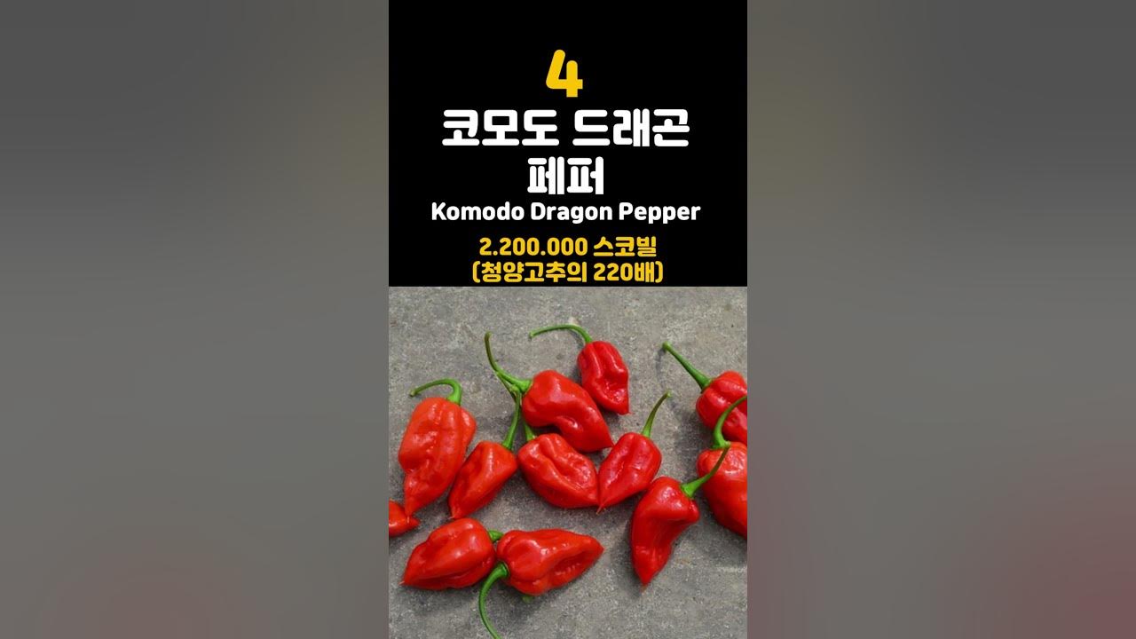 top-10-spiciest-peppers-in-the-world-who-can-die-if-you-eat-it