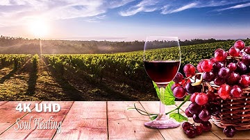 Peaceful Piano Music and 4K Grape Garden View: A Relaxing Journey of Wine Making and Stress Relief