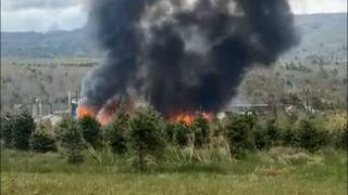 Nearly a dozen injured in Searsmont, Maine, lumber mill explosion