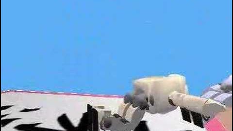 Webots robot simulation: Capoerist attack