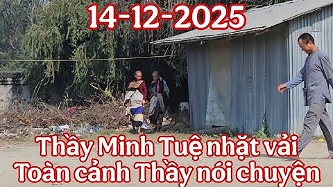 #thayminhtue nhặt vải, Toàn cảnh cuộc trò chuyện giữa Thầy Minh Tuệ và các phật tử