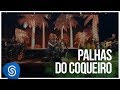 Raimundos - Palhas do Coqueiro (DVD Acústico) [Vídeo Oficial]