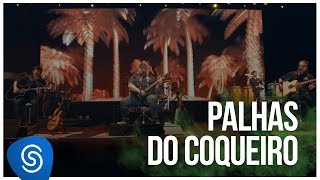 Watch Raimundos Palhas Do Coqueiro video