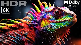 The Wild Color - ULTRA Detailed 8K HDR 60fps! (Dolby Vision Demo)