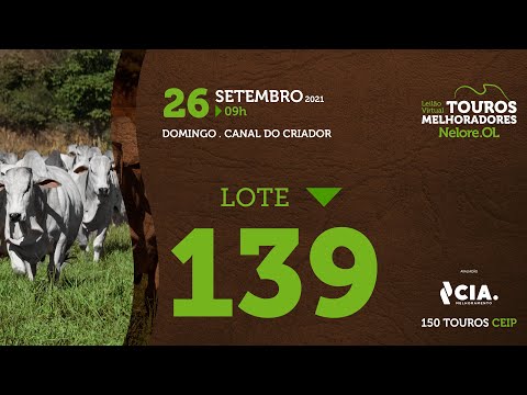 LOTE 139 - LEILÃO VIRTUAL DE TOUROS 2021 NELORE OL - CEIP