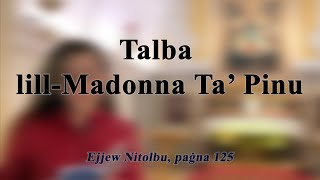 Talba Lillmadonna Ta Pinu