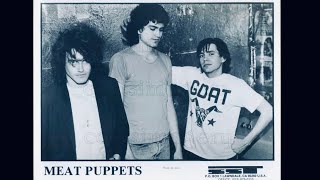 Meat Puppets- Flaming Heart