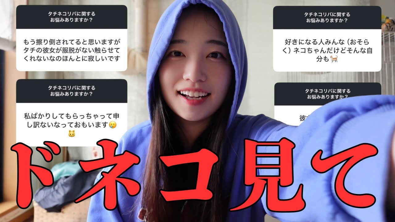 ネコ タチ