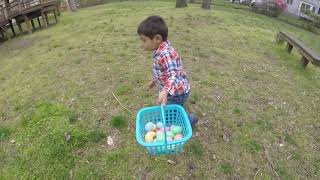 Easter Egg Hunt 2020!  Fun for my 2 year old toddler