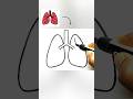 How To Draw Lungs Lungs Drawing Very Easy Easy Drawing Drawing Steps 101 Drawingideas Art