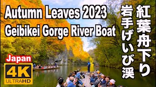 岩手げいび渓の紅葉 Autumn leaves of Geibi Gorge River Boat in Iwate 一関観光 舟下り 日本百景 猊鼻渓舟下り 岩手観光 岩手旅行 Iwate triP