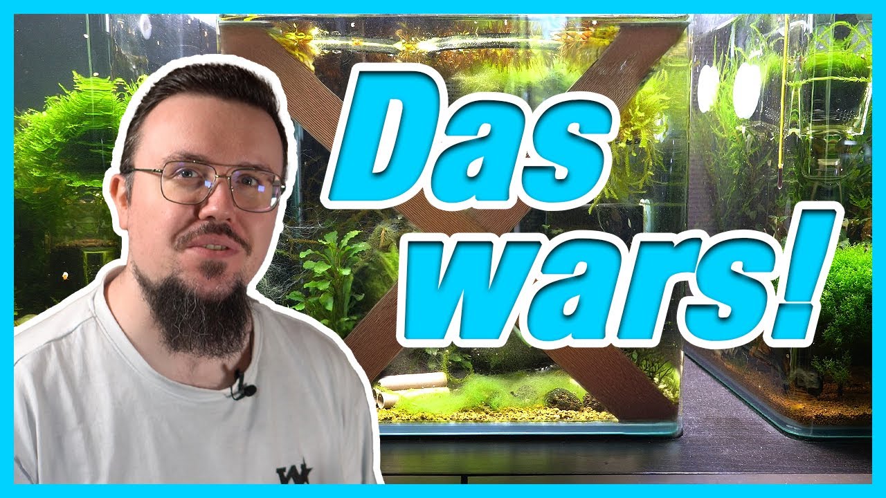 Aquarien-Rundgang Mai und ein neues Aquarium?